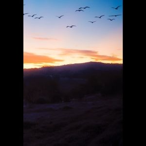 Meet your Posher, Robyn